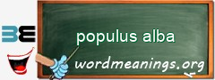 WordMeaning blackboard for populus alba